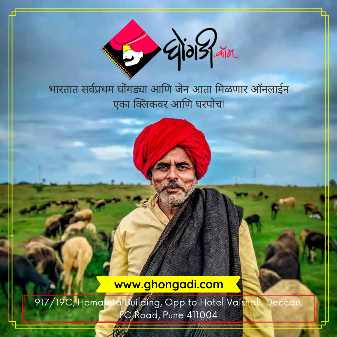 Jawal/Virgin Wool Black Ghongadi