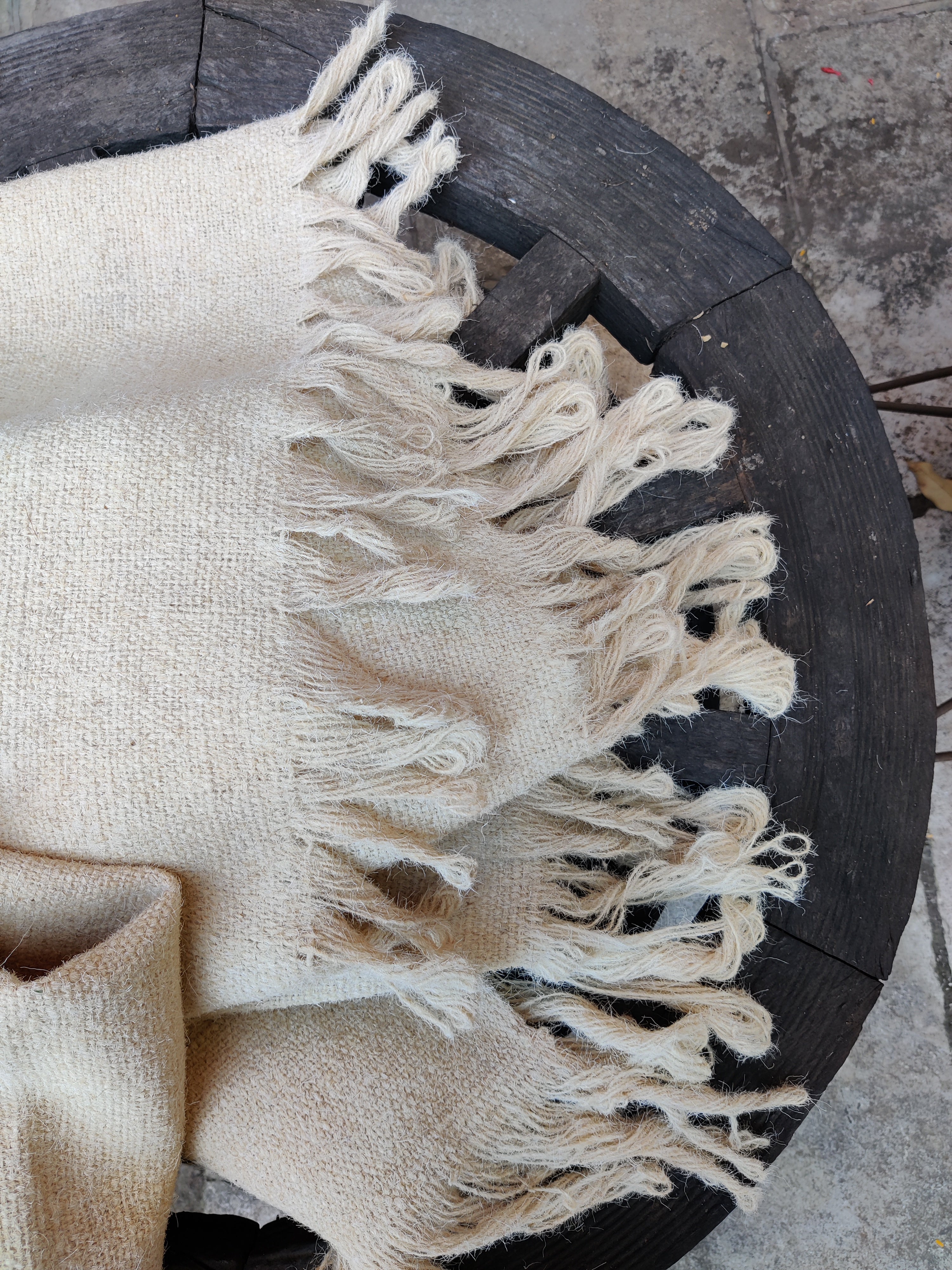 Jawal/Virgin Wool White Ghongadi