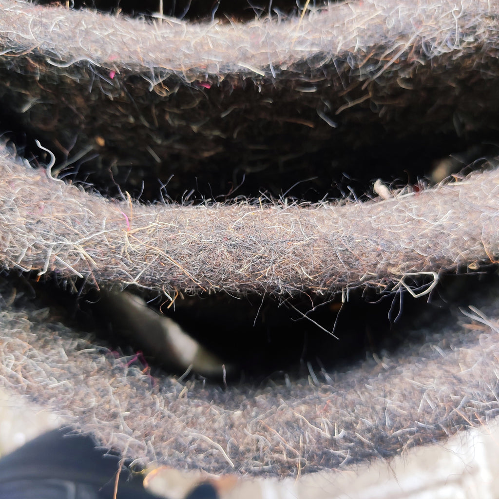 Jen - The Woollen Carpet (Black)